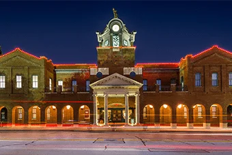 Permanent roofline lighting